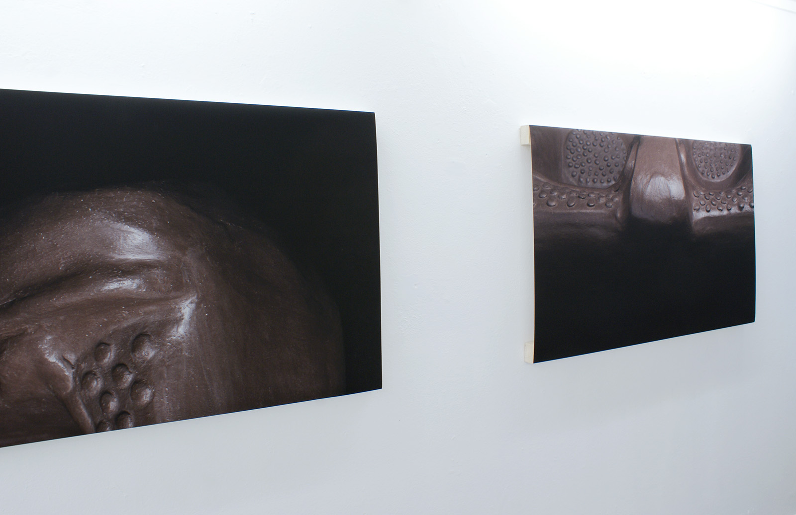 fossils4desires by sofie hertz