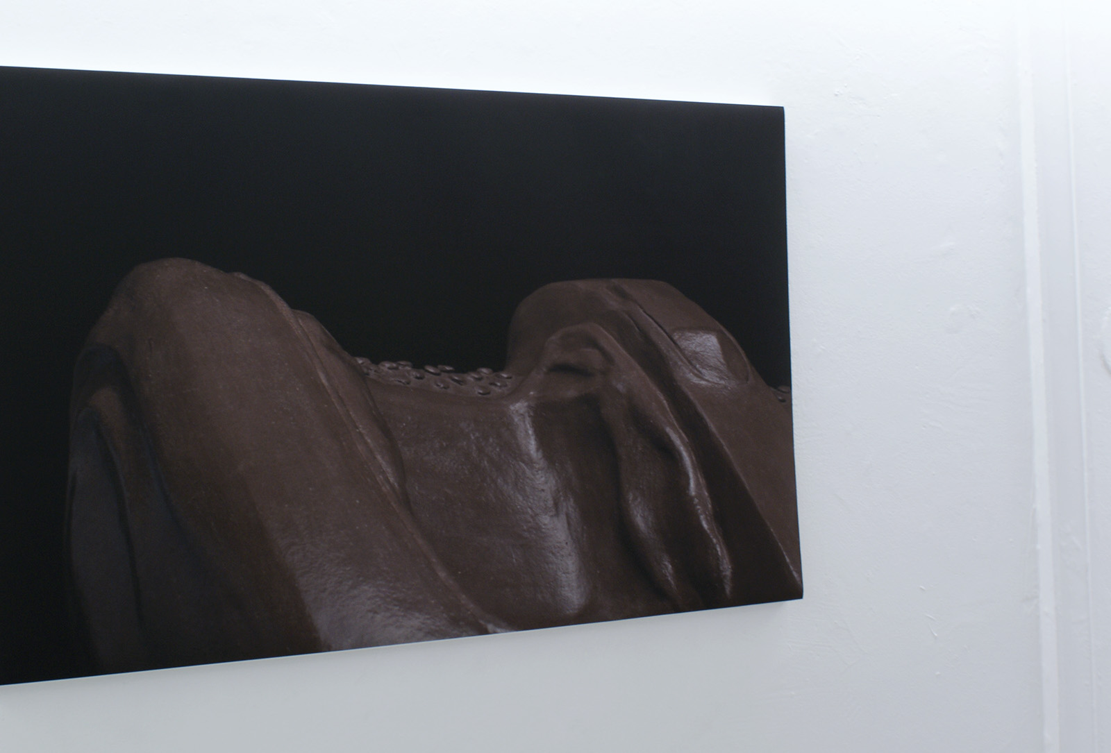fossils4desires by sofie hertz